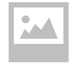 CHICKEN/VEGGIE HAKKA NOODLES